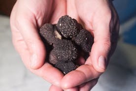 Cesarine: Truffle Dining and Cooking Demo Experience in Perugia