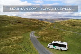 Fulldags Yorkshire Dales Tour från York