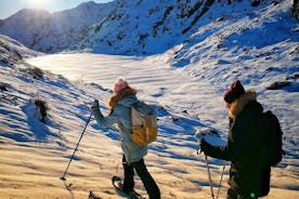 Caminatas en raquetas de nieve Bergen - Noruega Guías de montaña
