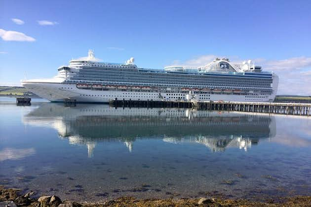 Excursión en crucero por Invergordon Tour PRIVADO