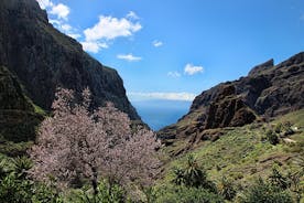 Tenerife Teide National Park Tour including Volcano Teide and Masca