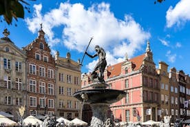 Gdansk en Malbork Castle Tour met kleine groepen vanuit Warschau met lunch