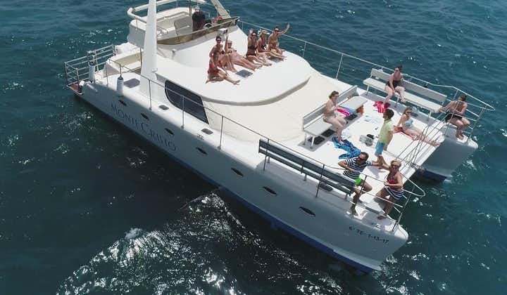 Whale and Dolphin Watching Catamaran with Transfer and Buffet 