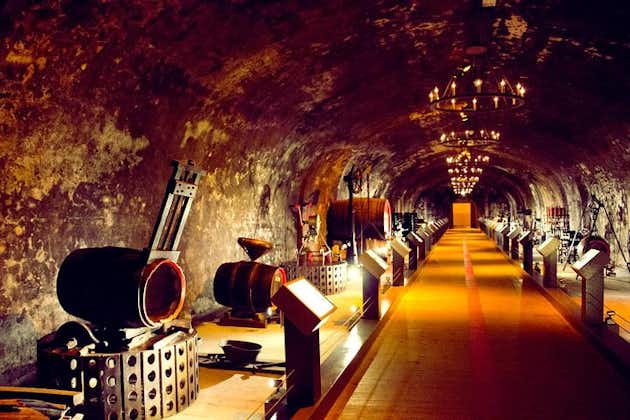 Champagne Day Tour with Reims, Cellars Visit & Champagne Tasting from Paris