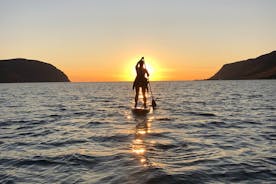 Wakeboarding/Waterskiing and Paddle boarding in Westfjords