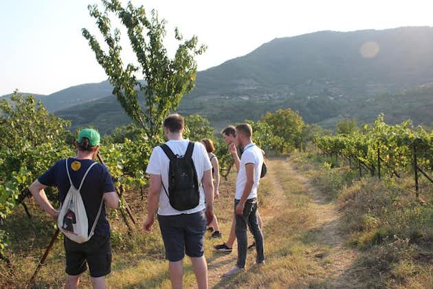 Grand Wine Tasting & Food Tour Of Berat -By Berat City Tours