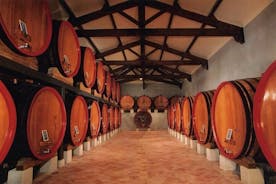 Chateauneuf du Pape -viininmaistelu pienryhmäaamukierros Avignonista
