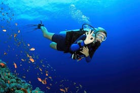 Fethiye Scuba Diving Experience von einem lokalen Experten
