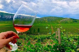Privat vintur i Chateau Sopot Winery fra Skopje