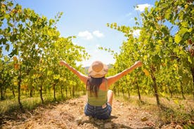 Halvdag Chianti Vineyard Flykt från Florens med vinprovningar