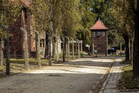 Auschwitz & Birkenau Fully Guided Tour from Krakow & Many Options