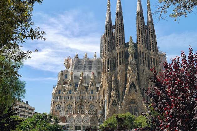 Tour per piccoli gruppi della Sagrada Familia con biglietto salta fila