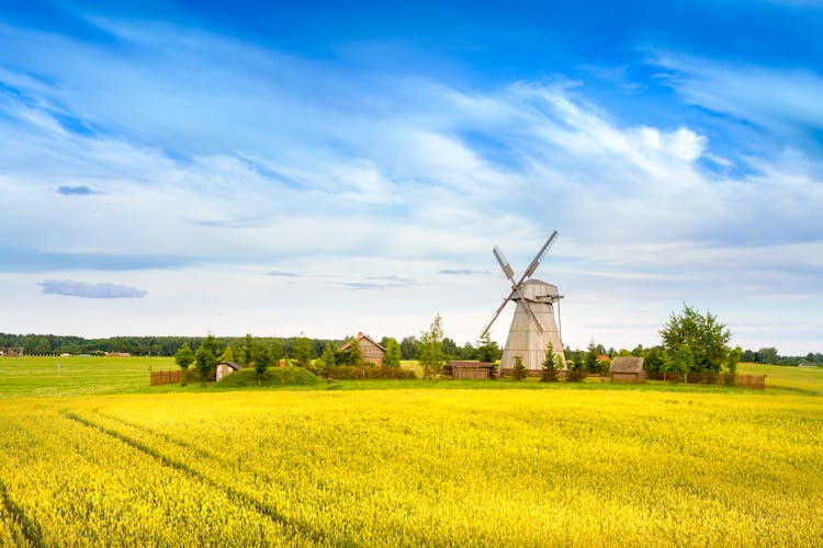 Photo of wooden windmill on background field and sky. Dudutki village, Minsk Region.