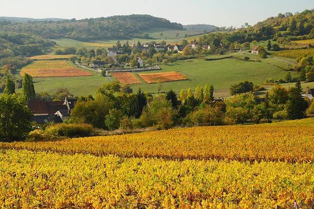 Excursão de bicicleta da Borgonha com degustação de vinhos de Beaune