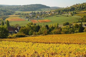 Bourgogne cykeltur med vinprovning från Beaune