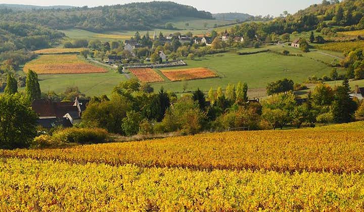 Burgundy Bike Tour with Wine Tasting from Beaune
