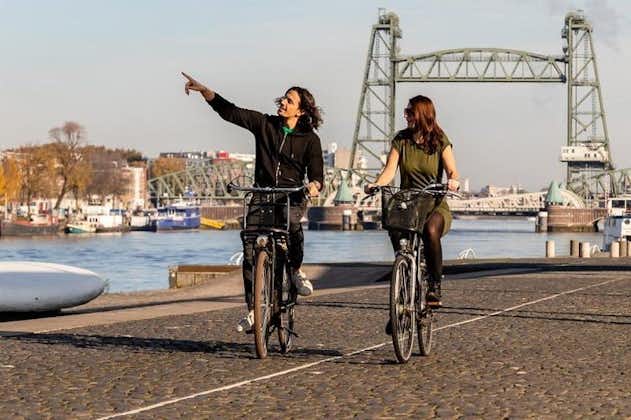 鹿特丹私人景点自行车之旅