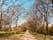 Photo of Spring landscape in Norfolk Heritage Park, UK.