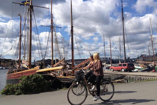 斯德哥尔摩海岸游览与当地人：100% 个性化和私人