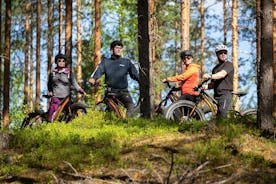 E-Fatbike Safari in Saimaa Geopark Scenery in Savitaipale