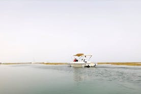 Tour met milieuvriendelijke boot op zonne-energie in de Ria Formosa, Algarve 