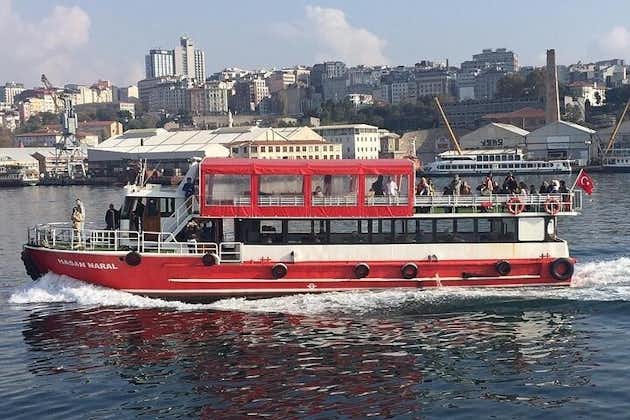 İstanbul 3 timers bådkrydstogt "Europa og Asien sammen"