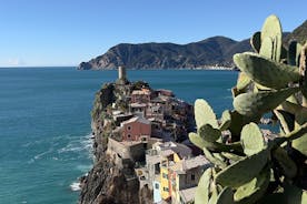 From Florence: Cinque Terre & Pisa Private Day Tour with Transfer