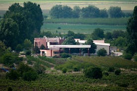 Privat vinsmaking på Afuzov Winery