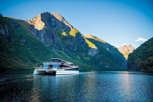 Zelfgeleide dagtour naar Flåm - incl Premium Nærøyfjord Cruise en Flåm Railway