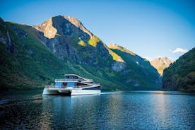 Visita autoguiada de un día a Flåm, incluido el crucero premium Nærøyfjord y el ferrocarril de Flåm