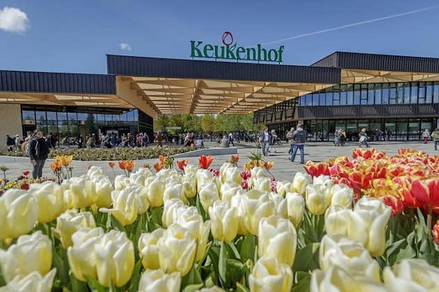 Recorrido turístico privado por los campos de tulipanes y las flores de Keukenhof desde Ámsterdam