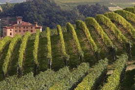 Privat rundtur: Barolo vinprovning i Langhe-området från Torino