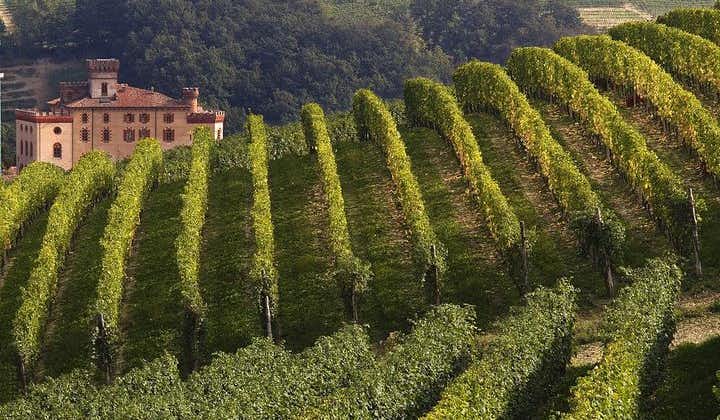 Privat tur: Barolo vinsmagning i Langhe-området fra Torino