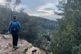 Privéwandeling van 3 uur op de berg Ymittos