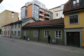 Uppsala blóðug saga 1h- kynþáttalíffræði, 18. aldar plága, 19. aldar vændi o.fl.