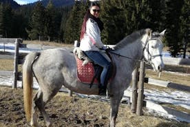 普罗夫迪夫在罗多彼山脉的私人骑马