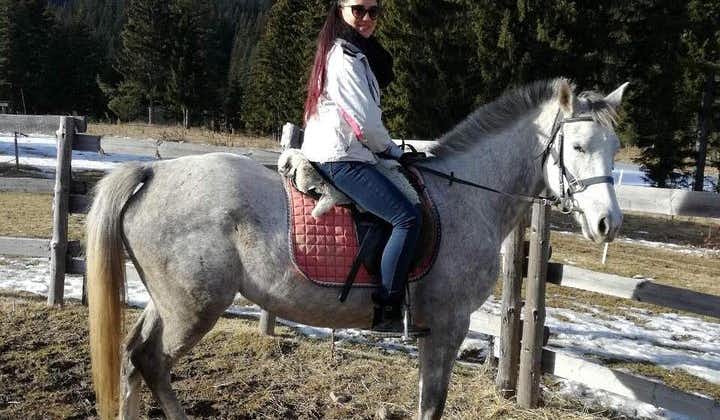 Montar a caballo privado en las montañas Ródope desde Plovdiv