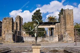 Transfer van Positano naar Napels met stop in Pompeii