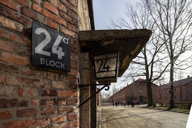 Desde Cracovia: tour de día completo de Auschwitz-Birkenau