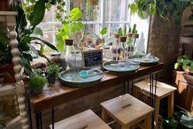 30 Minutes Private Terrarium Making Experience in Cirencester