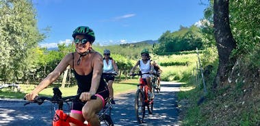 E-Bike Tour en wijnproeverij in Lazise