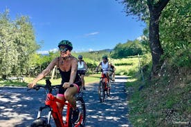 Tour en bicicleta eléctrica y cata de vinos en Lazise