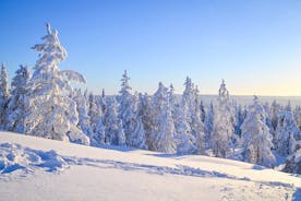 荒野生存之旅 - 冬季