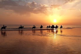 令人惊叹的日落海滩骑行......在马背上！