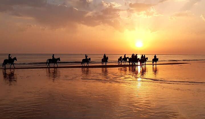 Splendido giro in spiaggia al tramonto... a cavallo!
