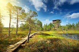 Private Day Tour to Lahemaa National Park from Tallinn