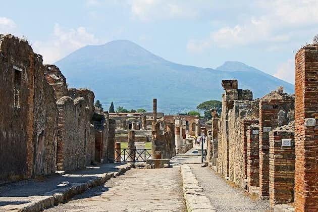 Pompeii-Vesuvius Combined Tour with Pizza for lunch