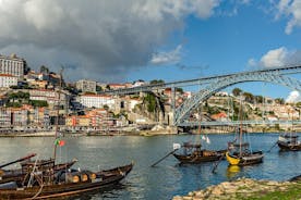 Full-day private sightseeing tour in Porto from Lisbon