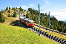 Dagstur til Luzern og Rigi-bjerget med en lokal fra Zürich