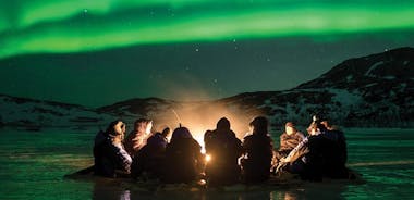 Chasing the Northern Lights from Tromso with Minibus